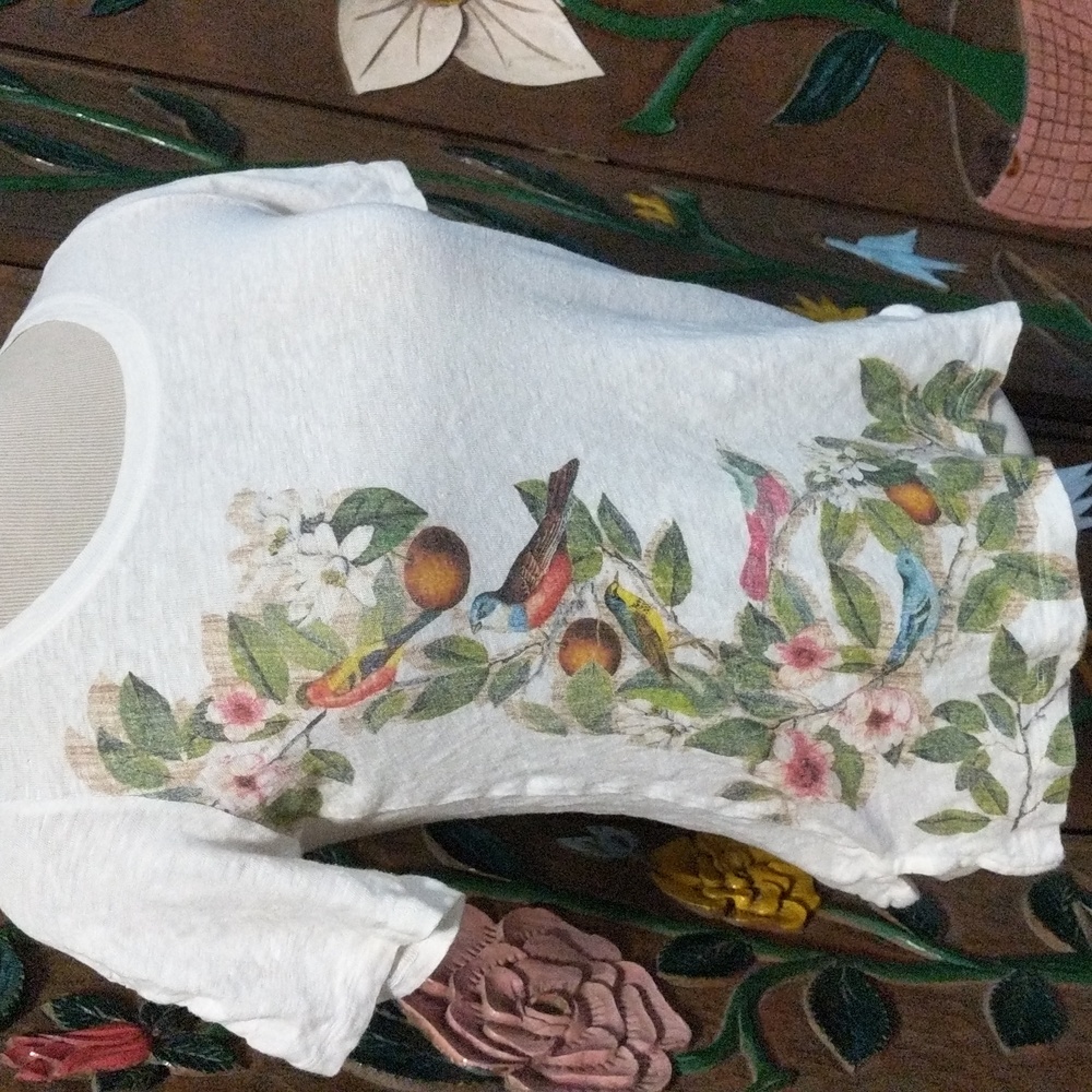 Anthropologie Meadow Rue Victorian Italian 100% Linen Tee Birds Flowers Size XS
